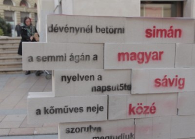 faltenyeszet_04